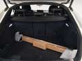 Audi A5 Q5 SPORTBACK TODOTERRENO 2.0 40 TDI S TRONIC QUATT Blanco - thumbnail 11