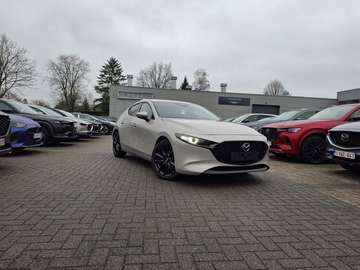 Exclusive-Line + Pano - Garantie tem 10/2030