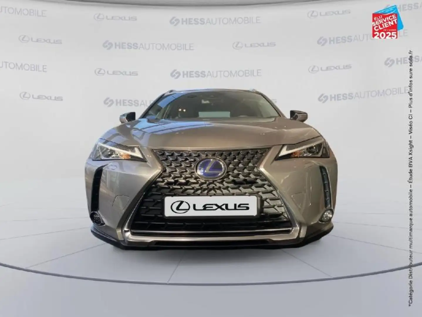 Lexus UX 300e UX 300e Pack Grijs - 2