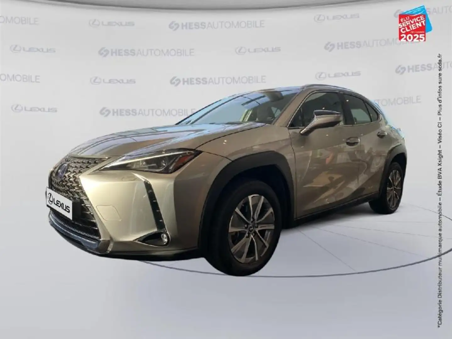 Lexus UX 300e UX 300e Pack Grijs - 1