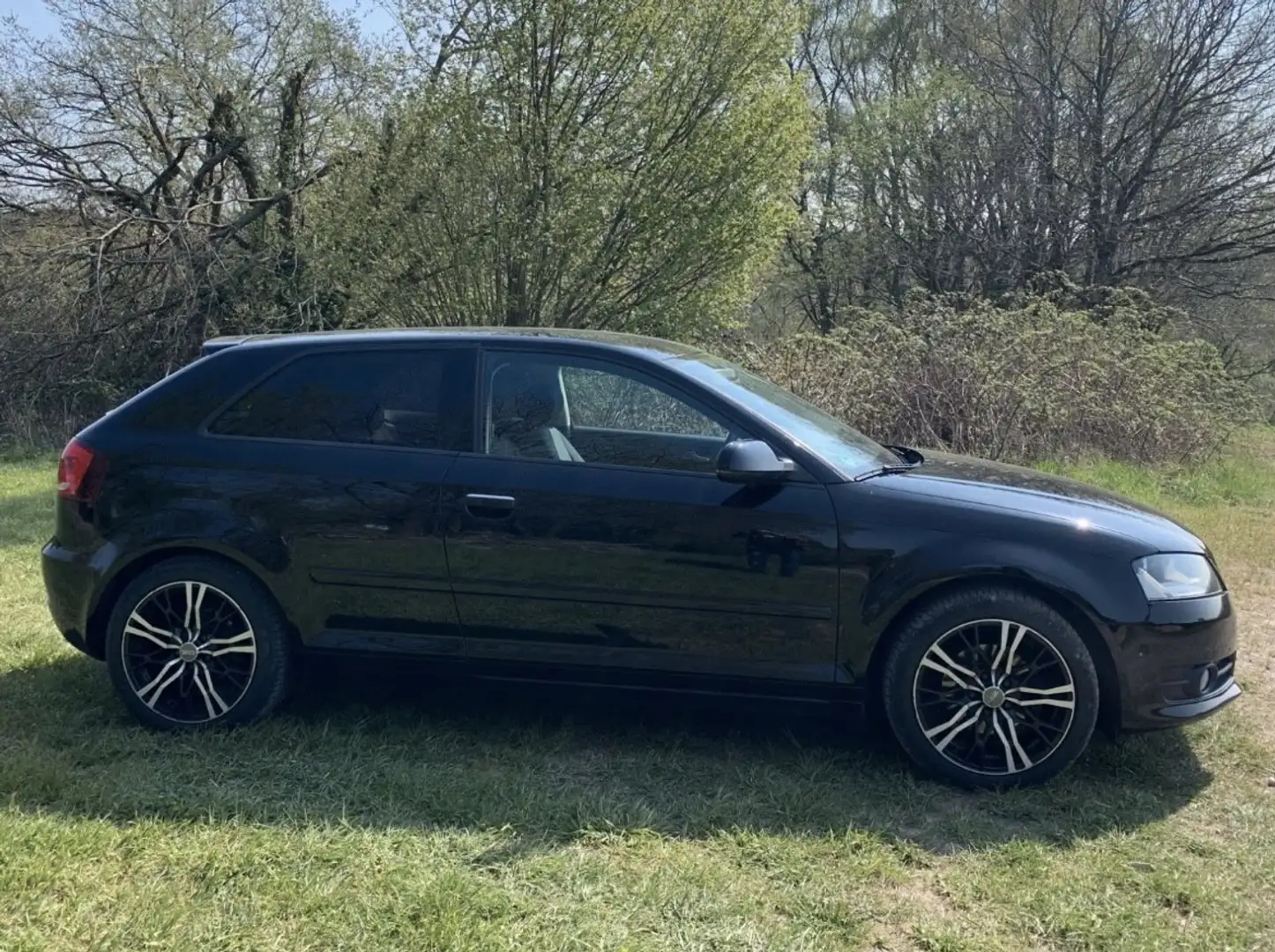 Audi A3 1.2 TFSI Attraction, Sportfahrwerk, OZ Felgen Schwarz - 2
