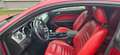 Ford Mustang GT Coupé Rot - thumbnail 5