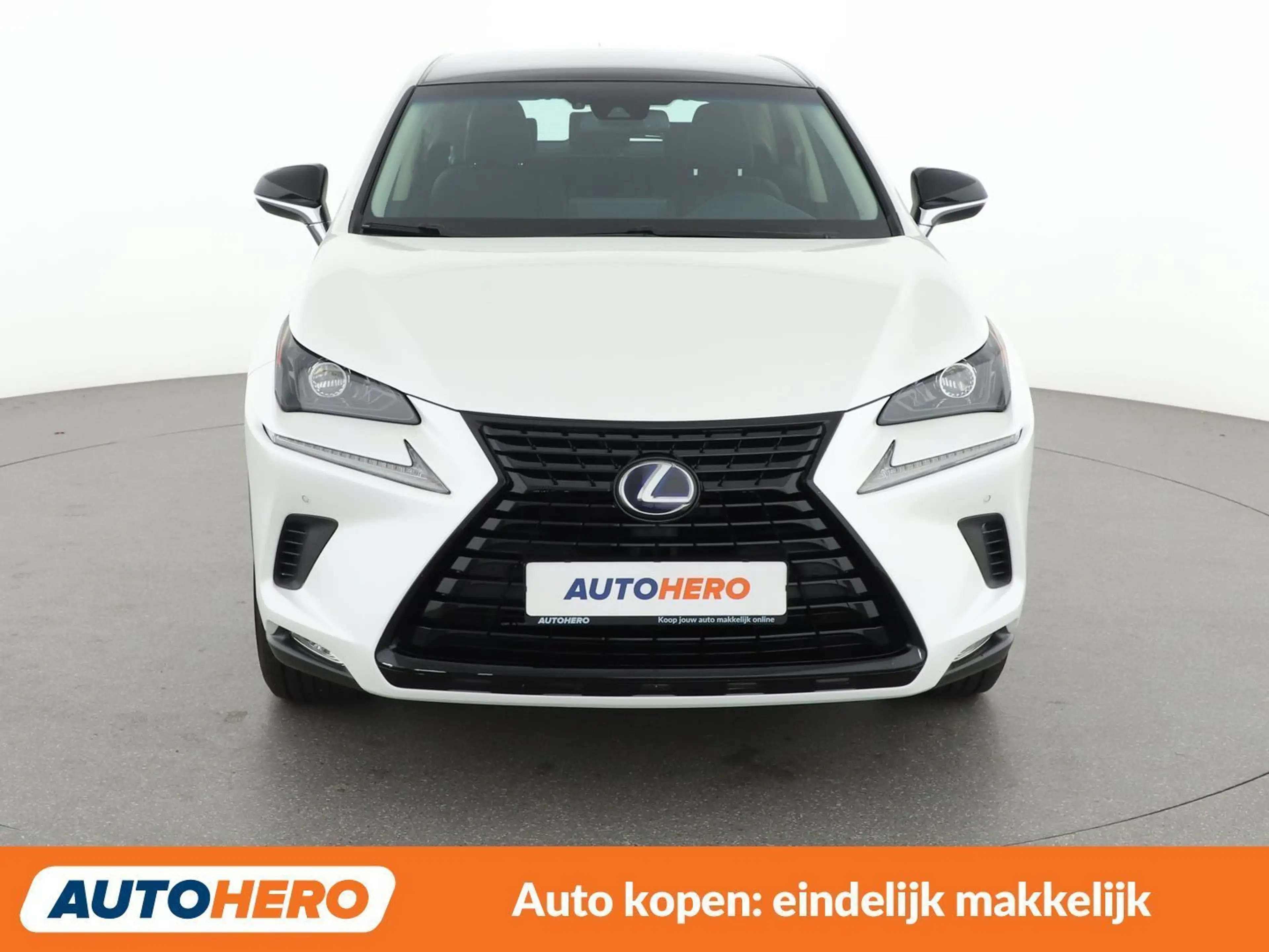 Lexus NX 300h NX 300h E-Four Sport Line — photo 9