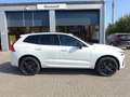 Volvo XC60 T6 Black Edition Plus MJ26/Pano/360/Head-Up Weiß - thumbnail 4