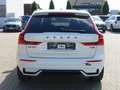 Volvo XC60 T6 Black Edition Plus MJ26/Pano/360/Head-Up Weiß - thumbnail 5