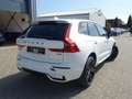 Volvo XC60 T6 Black Edition Plus MJ26/Pano/360/Head-Up Weiß - thumbnail 7