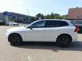 Volvo XC60 T6 Black Edition Plus MJ26/Pano/360/Head-Up Weiß - thumbnail 6