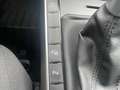 Volkswagen Polo Life 1.0 TSI-DSG,IQ-Drive,Park,Sitzheiz,LED Gris - thumbnail 20