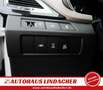Hyundai SANTA FE Diesel 2.2 CRDI 4WD Premium I Vollleder I Navi Weiß - thumbnail 28