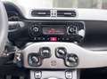 Fiat Panda 1.2 Benzina 69CV E6 Neo - 2014 Blanc - thumbnail 10