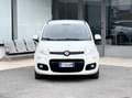 Fiat Panda 1.2 Benzina 69CV E6 Neo - 2014 Blanc - thumbnail 2