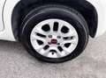Fiat Panda 1.2 Benzina 69CV E6 Neo - 2014 Blanc - thumbnail 12
