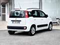 Fiat Panda 1.2 Benzina 69CV E6 Neo - 2014 Blanc - thumbnail 5