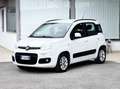 Fiat Panda 1.2 Benzina 69CV E6 Neo - 2014 Blanc - thumbnail 3