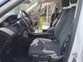 Land Rover Range Rover Evoque Range Rover Evoque 2.0D I4 163 CV AWD Auto Blanc - thumbnail 7