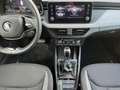 Skoda Kamiq Selection 1.0TSI DSG KAMERA ACC SMART-LINK Grau - thumbnail 17