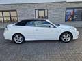 Saab 9-3 Vector Hirsch getuned 195pk Blanc - thumbnail 5