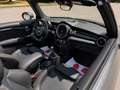 MINI One Cabrio 1.2 one cabrio 102CV -PREZZO REALE- Grau - thumbnail 12