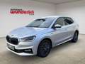 Skoda Fabia Tour DSG inkl. Winter Plus Chrom Kamera Silber - thumbnail 1