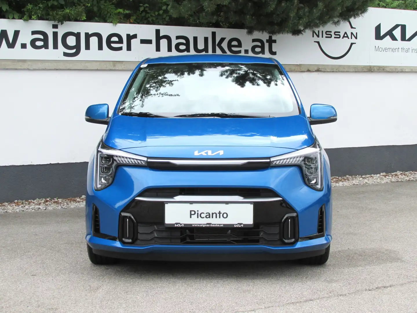 Kia Picanto 1,2 DPI Gold Bleu - 2