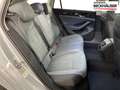Volkswagen Passat Variant Business 1.5 eTSI 150PS/110kW DSG7 2025 +17" Bo... Plateado - thumbnail 19