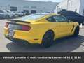 Ford Mustang Shelby GT350 526 Hors homologation 4500e Galben - thumbnail 24
