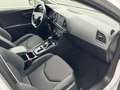 SEAT Leon FR 2.0TDI DSG LED NAVI ACC SPORT DAB Weiß - thumbnail 22