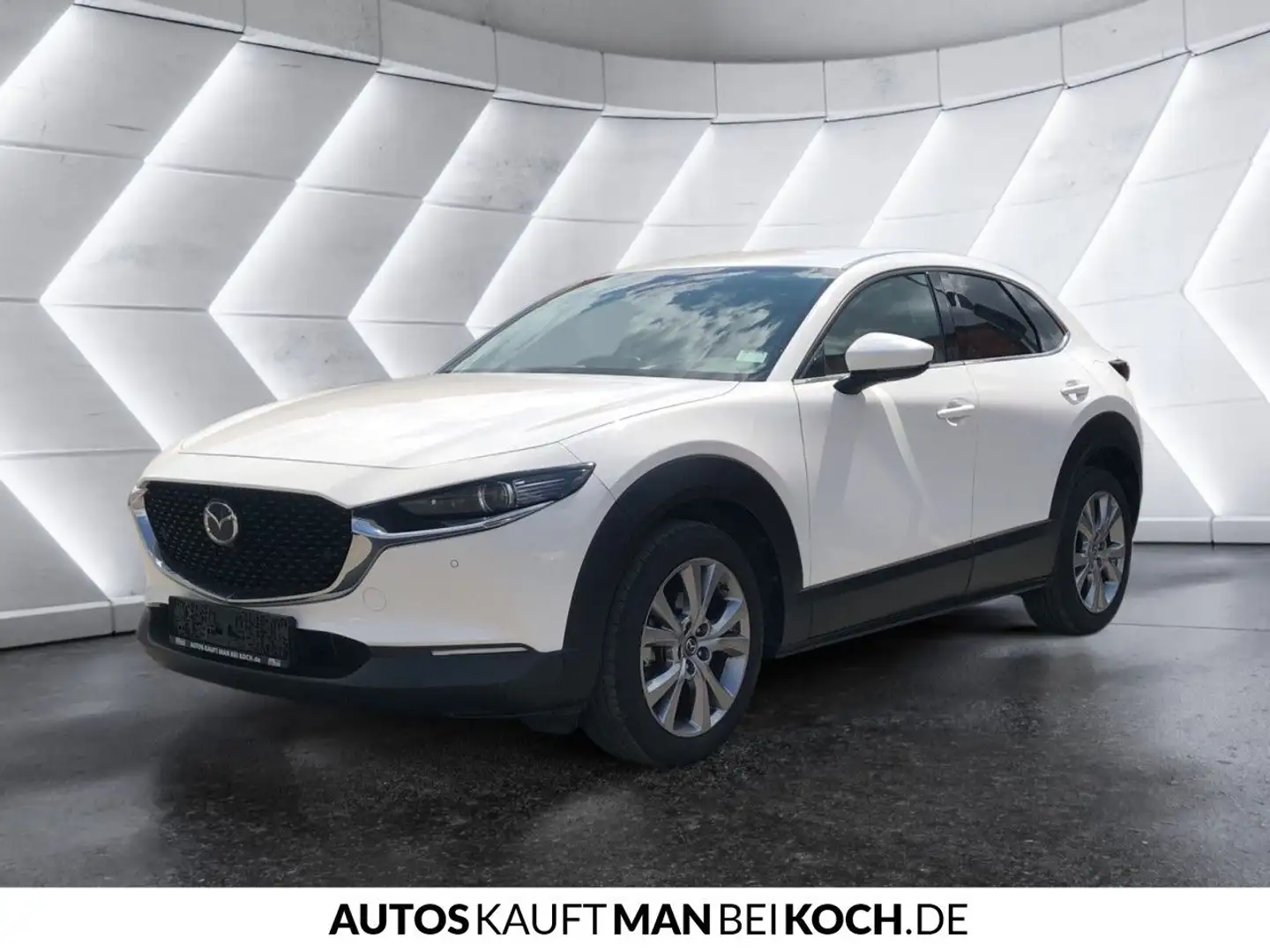 Mazda CX-30 Excl-Line HEAD-UP el.H-KLAPPE NAVI KAMERA Weiß - 2