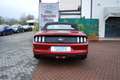 Ford Mustang 2.3 EcoBoost Convertibile MANUALE - NAVIGATORE - thumbnail 6