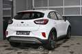 Ford Puma 1.5 EcoBlue Pickerl NEU Weiß - thumbnail 2