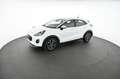 Ford Puma 1.5 EcoBlue Pickerl NEU Weiß - thumbnail 3