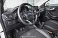 Ford Puma 1.5 EcoBlue Pickerl NEU Weiß - thumbnail 9
