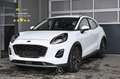 Ford Puma 1.5 EcoBlue Pickerl NEU Weiß - thumbnail 1
