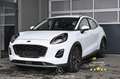 Ford Puma 1.5 EcoBlue Pickerl NEU Weiß - thumbnail 1