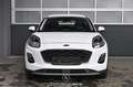 Ford Puma 1.5 EcoBlue Pickerl NEU Weiß - thumbnail 3