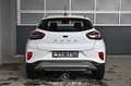 Ford Puma 1.5 EcoBlue Pickerl NEU Weiß - thumbnail 4