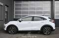 Ford Puma 1.5 EcoBlue Pickerl NEU Weiß - thumbnail 6