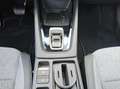 Skoda Octavia Selection+DSG+AHK+Comfort Blanc - thumbnail 12