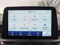 Ford Kuga 2.5 PHEV ST-Line X LED*ACC*PANO*4xSHZ*PDC*CAM Schwarz - thumbnail 14