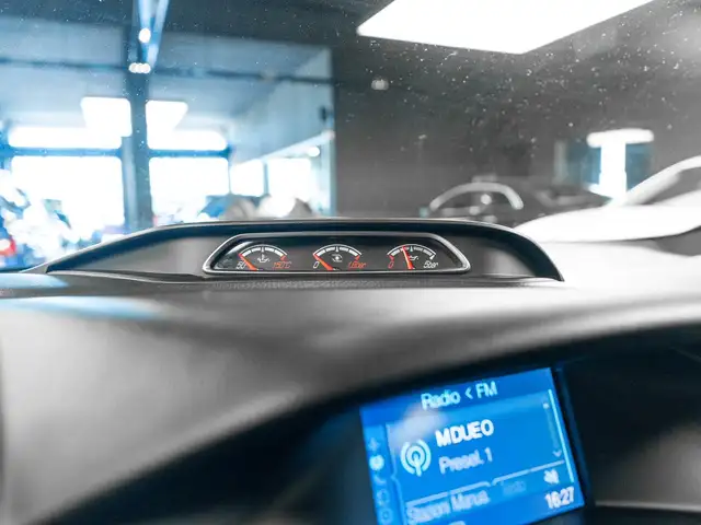 Ford Focus view 17