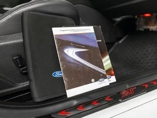 Ford Focus view 24