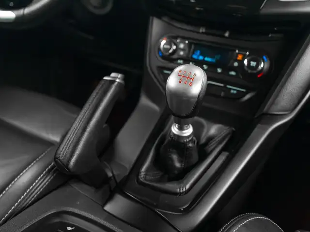 Ford Focus view 18