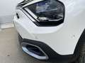 Citroen E-C4 X SHINE PACK Blanco - thumbnail 23