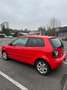 Volkswagen Polo 1.4i 16v Edition Rouge - thumbnail 2