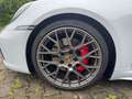Porsche 992 4S Cabriolet Grau - thumbnail 17