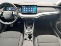 Skoda Octavia Selection TDI DSG Grau - thumbnail 8