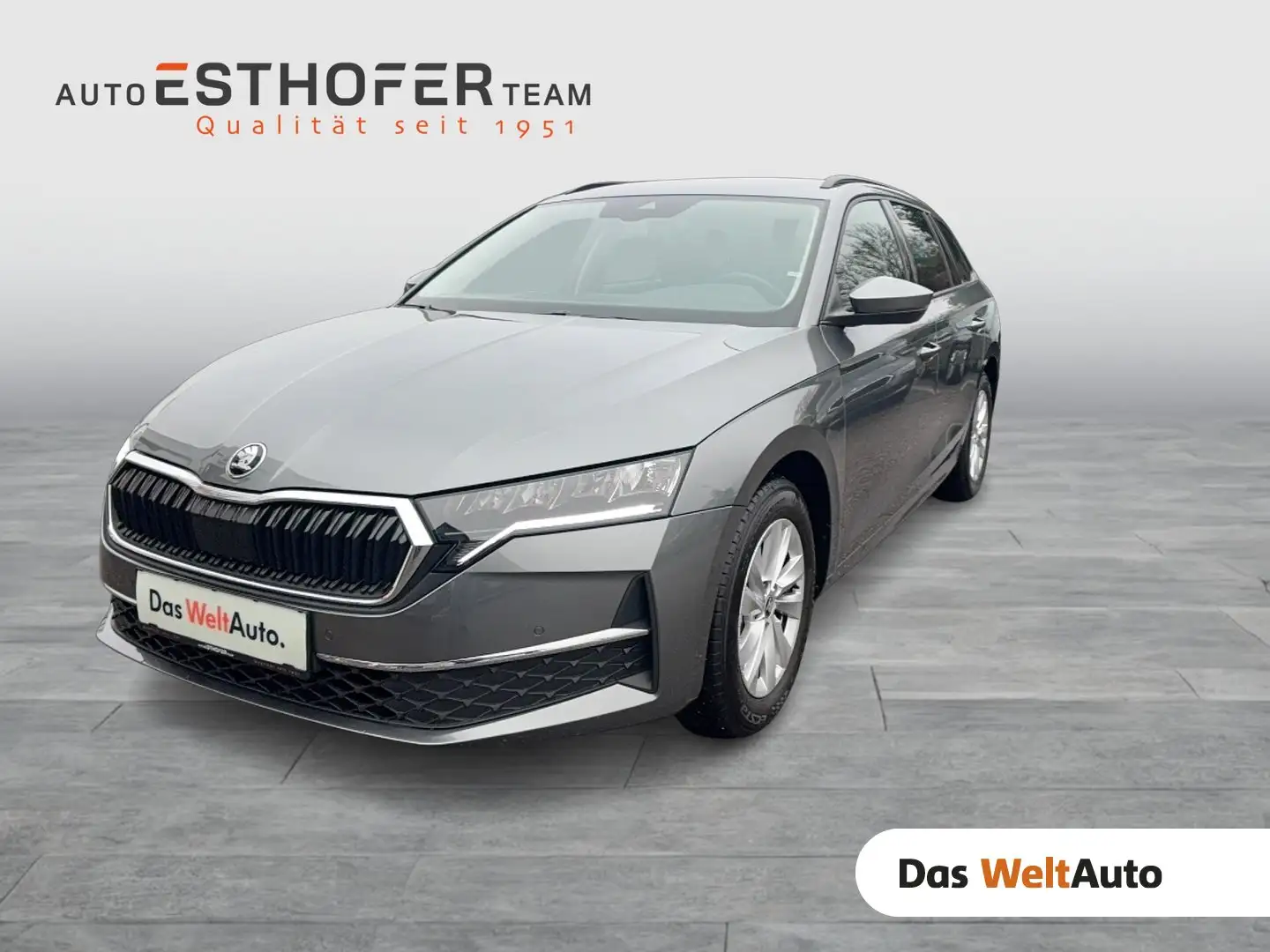 Skoda Octavia Selection TDI DSG Grau - 1