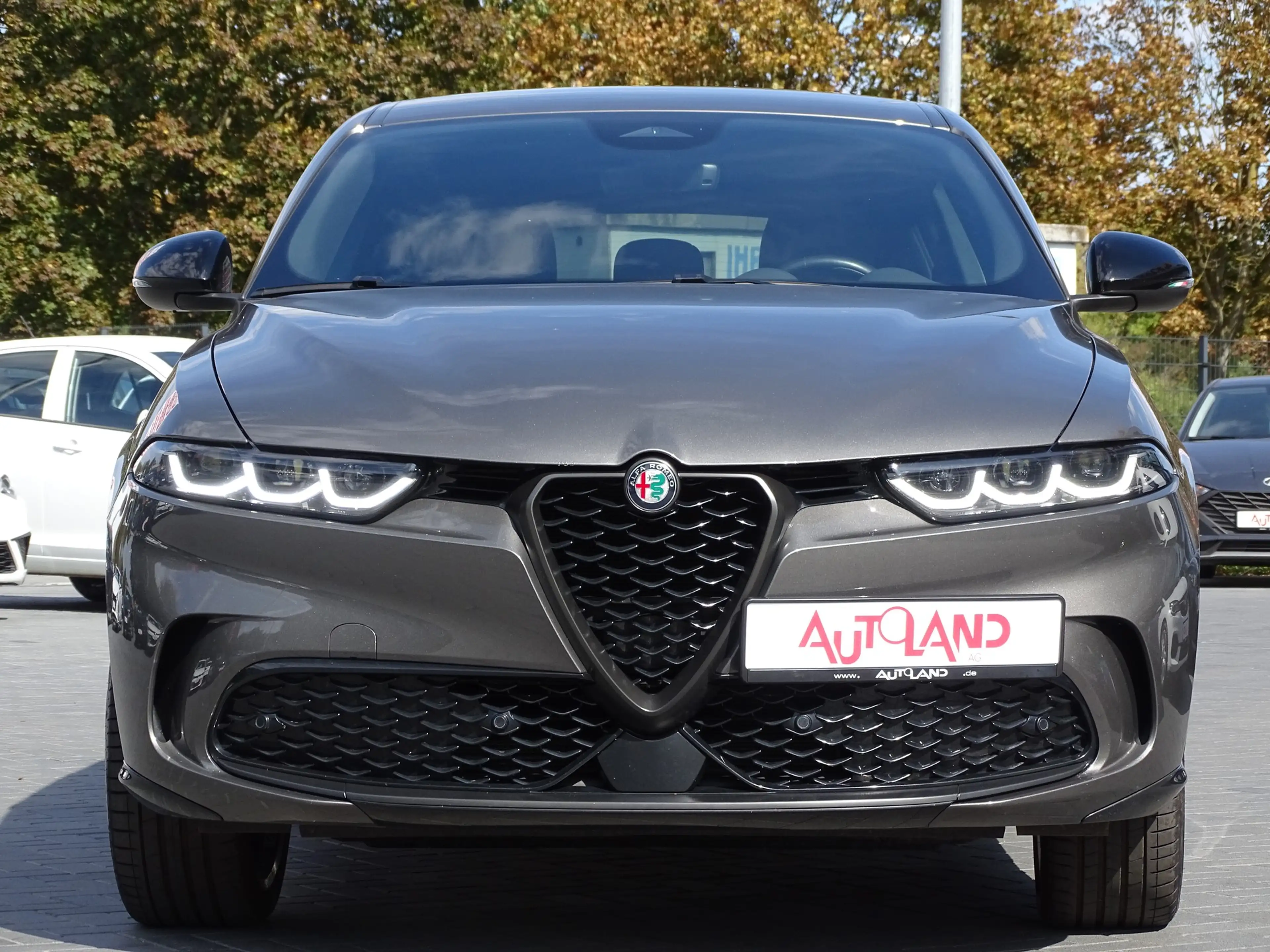 Alfa Romeo Tonale 1.5 mHEV Edizione Speciale Aut. LED Navi — photo 6