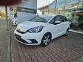 Honda Jazz Hybrid 1.5 i-MMD e-CVT Executive m. Kamera/Navi Weiß - thumbnail 1