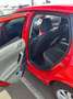 Volkswagen Polo 1.0 TSI Highline CarPlay Piros - thumbnail 12